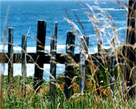 beach photo